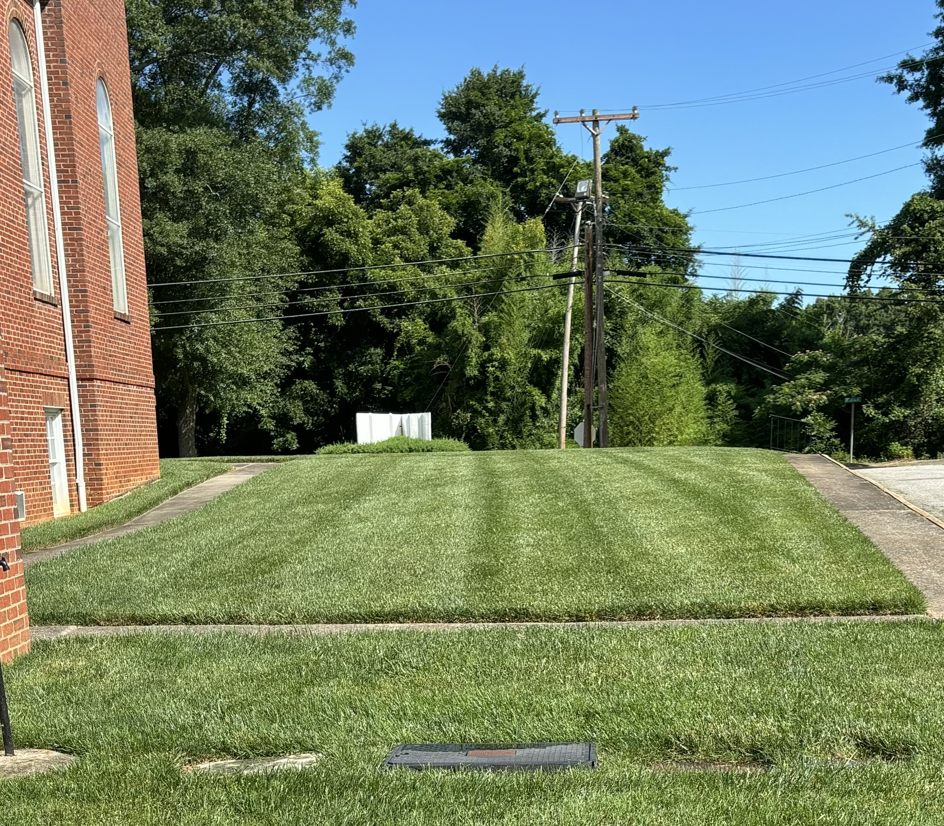 Another Healthy Lawn in Union, SC