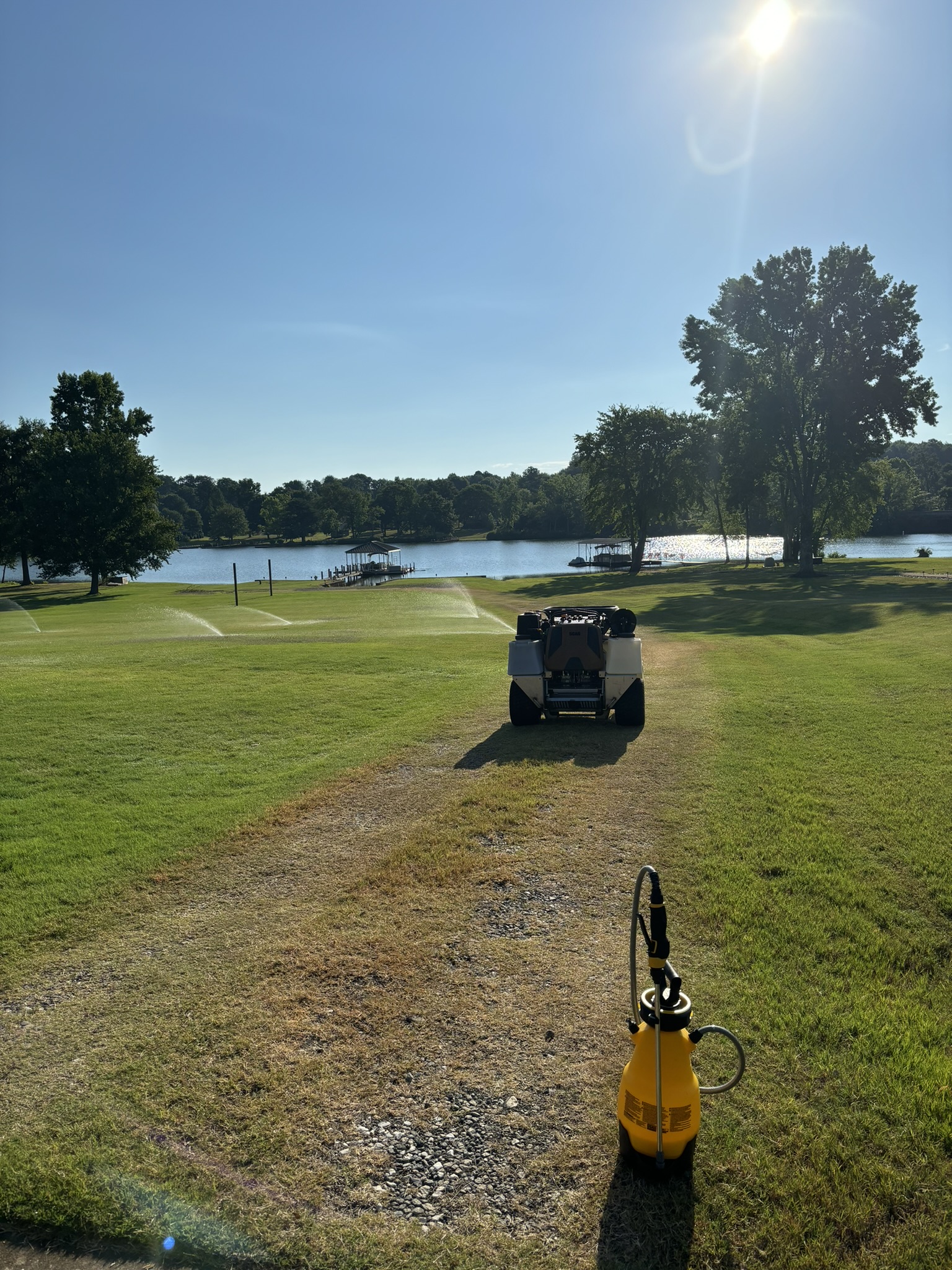 Rich Fertilization in Greenville, SC