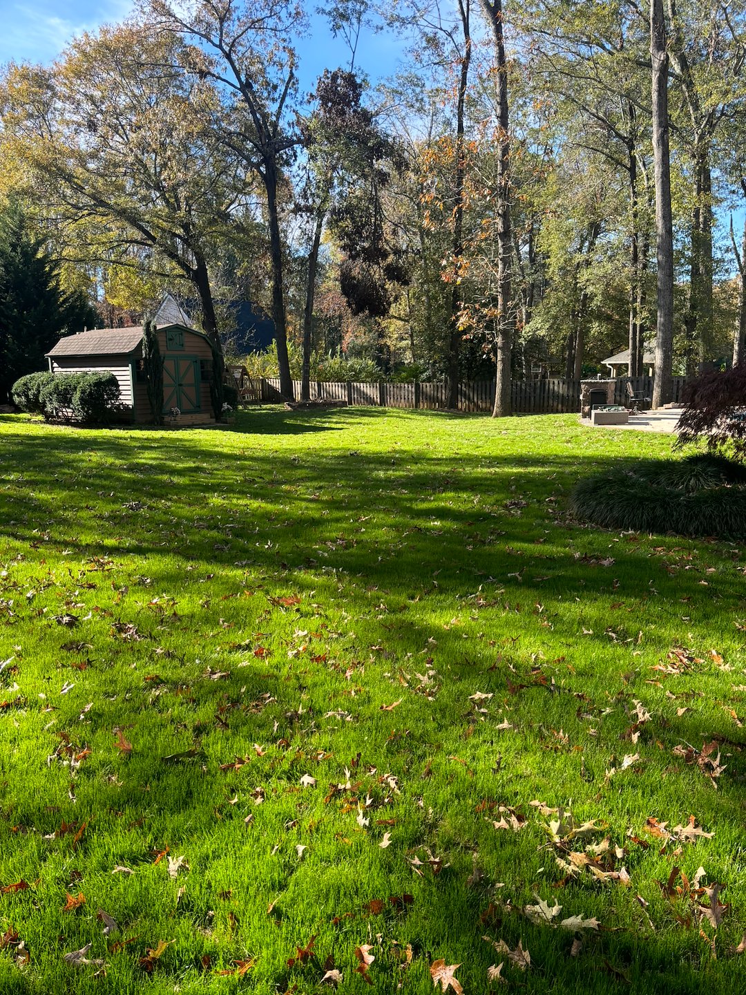 Successful Lawn Renovation in Spartanburg, SC